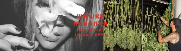 хмурый Дмитровск