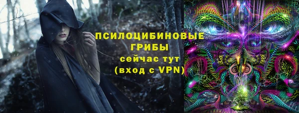 дмт Балахна